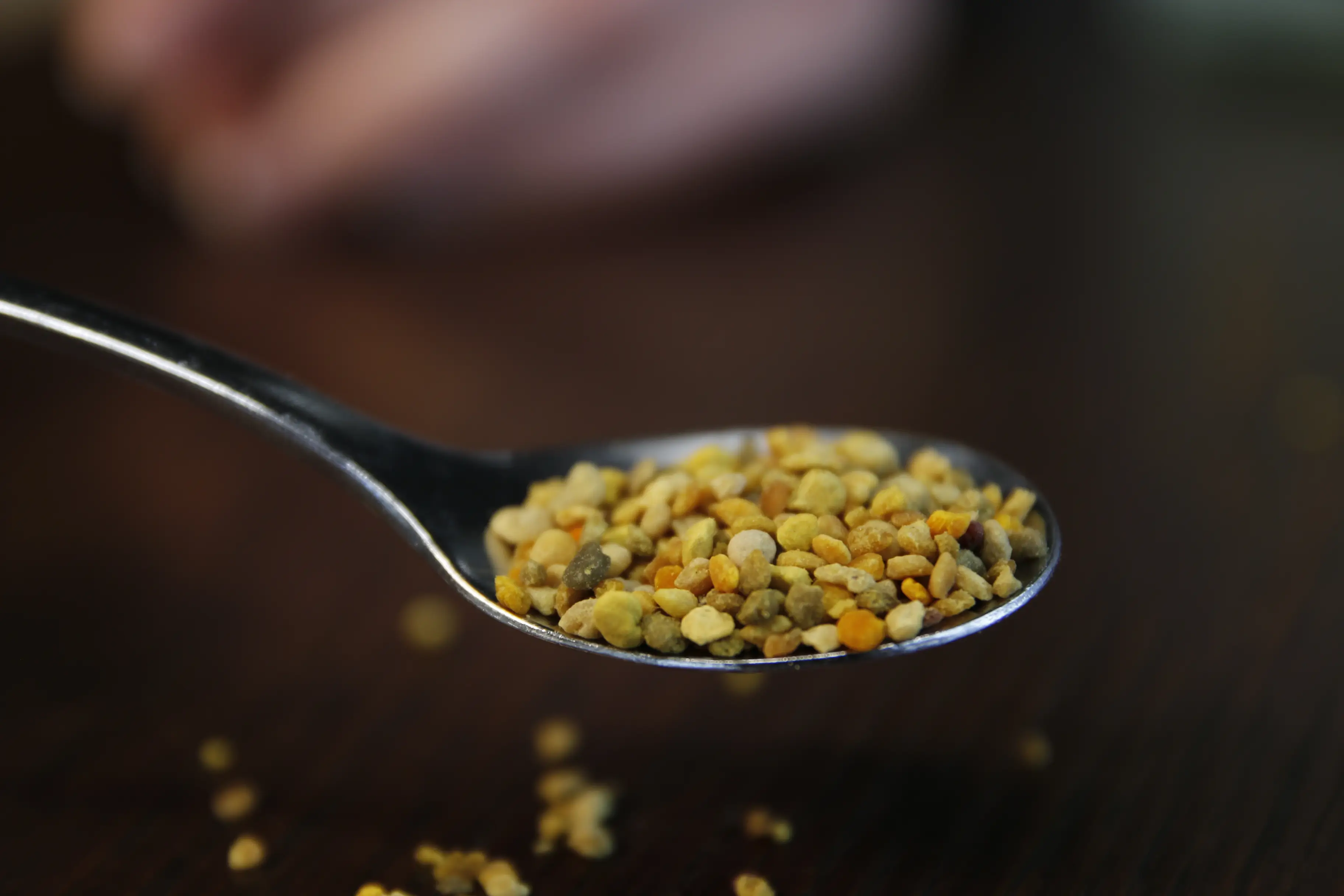 Imker erklärt Wissenswertes über Bienenprodukte
